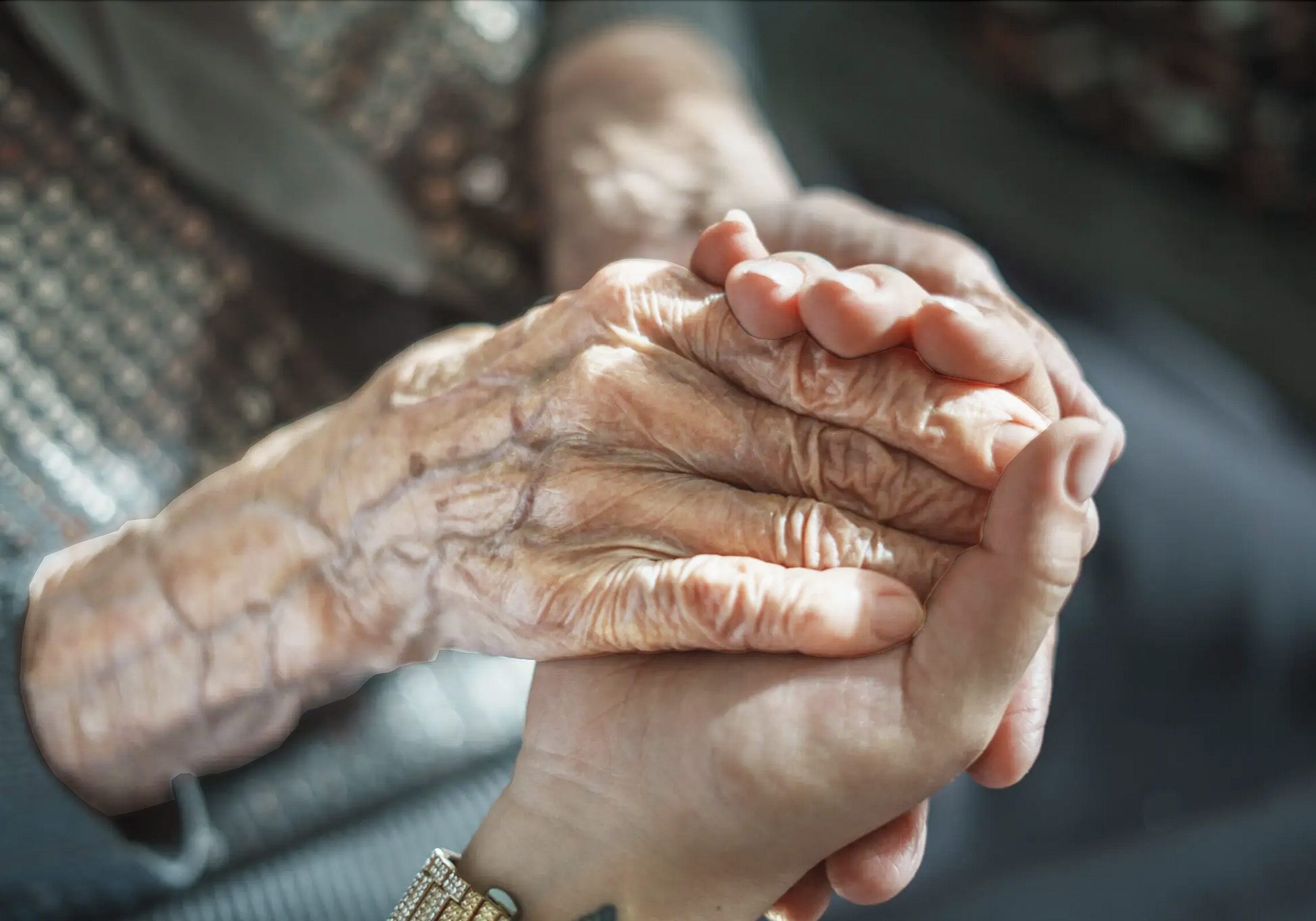 An elderly person's wrinkled hands held gently by a younger hand.